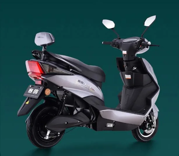 Saige High Speed E Motorcycle with Lithium Battery for American Market