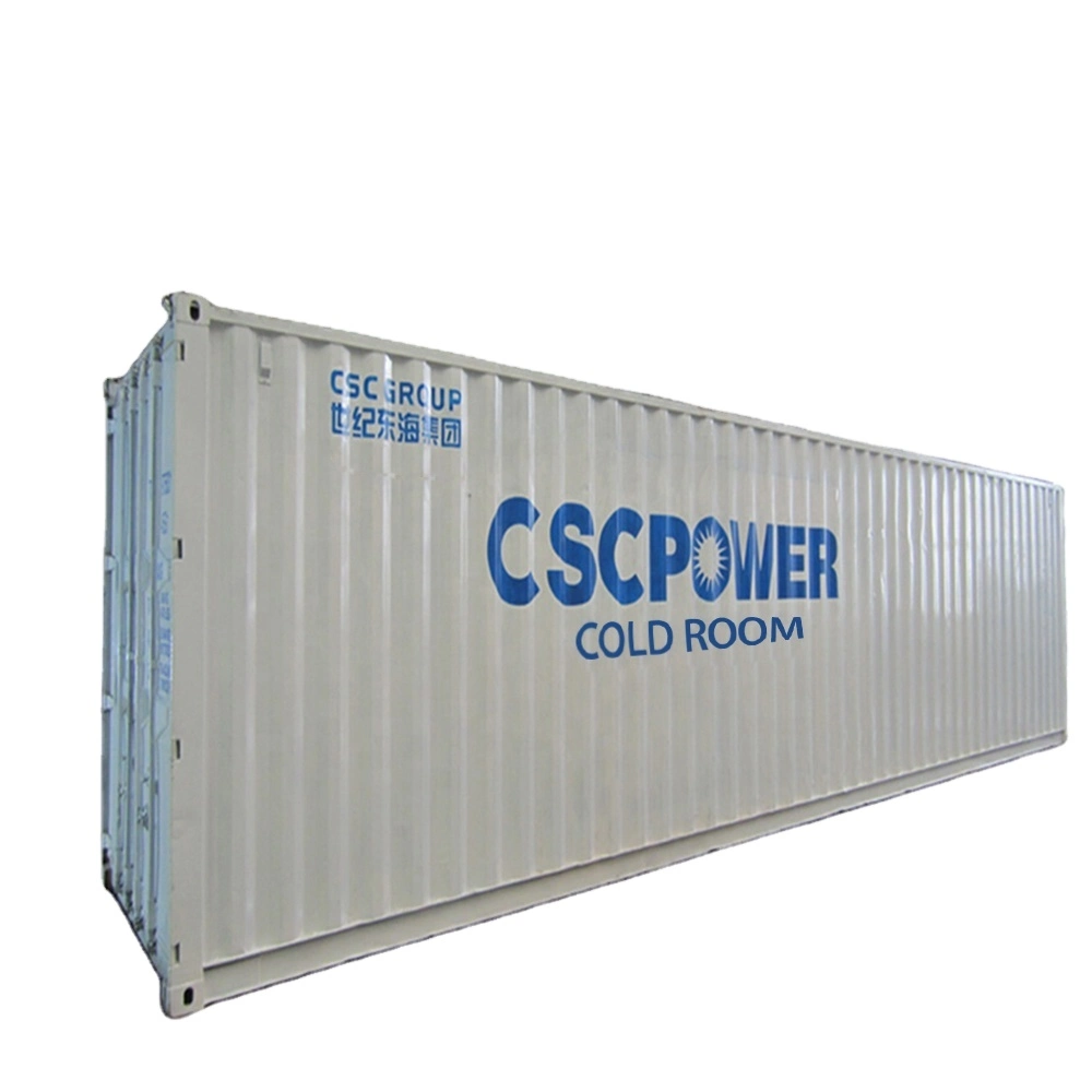 Cscpower Cold Room Storage Solutions with 40FT Reefer Container Hot Sale