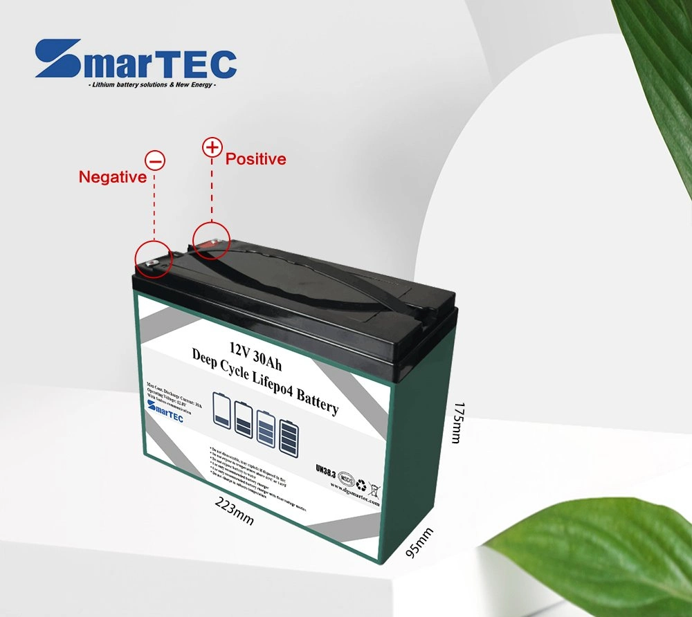 High Quality Li-ion /LiFePO4 Battery 12V 30ah Deep Cycle Lithium Iron Phosphate Battery with Battery Manament System