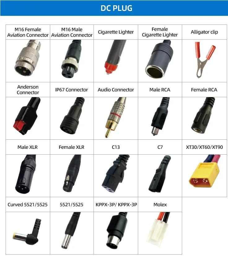 Special Charger for Lithium-Ion Batteries