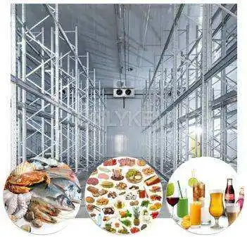 Industrial Logistics Fish Vegetable Fruit Seafood Onion Freezer Cold Room Storage