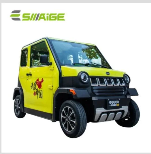 Saige Electric Mini Car with 60V58ah Lithium Battery