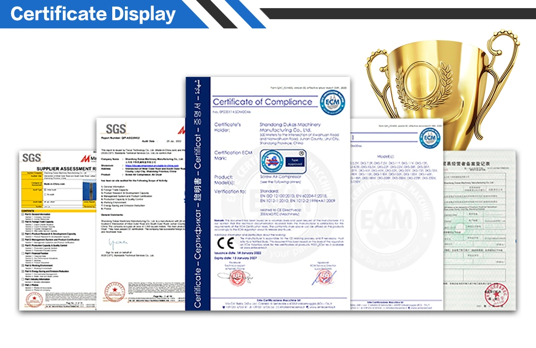 OEM Low Noise Multiple Configurations Oil Free Screw Air Compressor with Customization