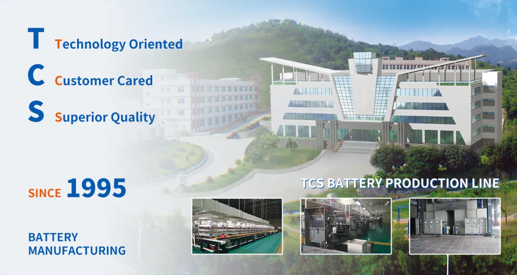 Tcs Chinese Manufacturer Energy Storage AGM Valve Regulated Sealed Lead Acid Dry UPS Battery 12V 7ah Price for Electronic Scales