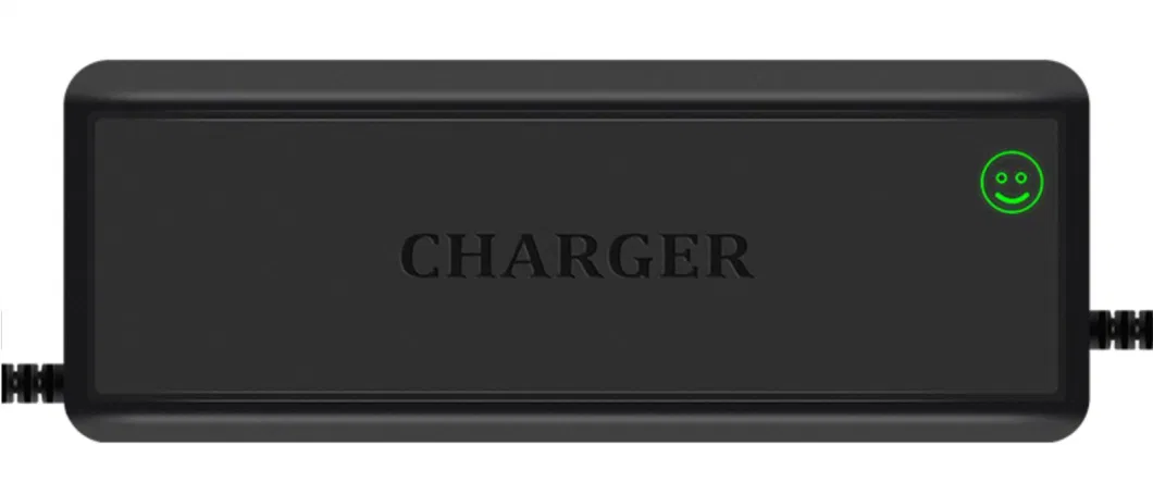 Special Charger for Lithium-Ion Batteries