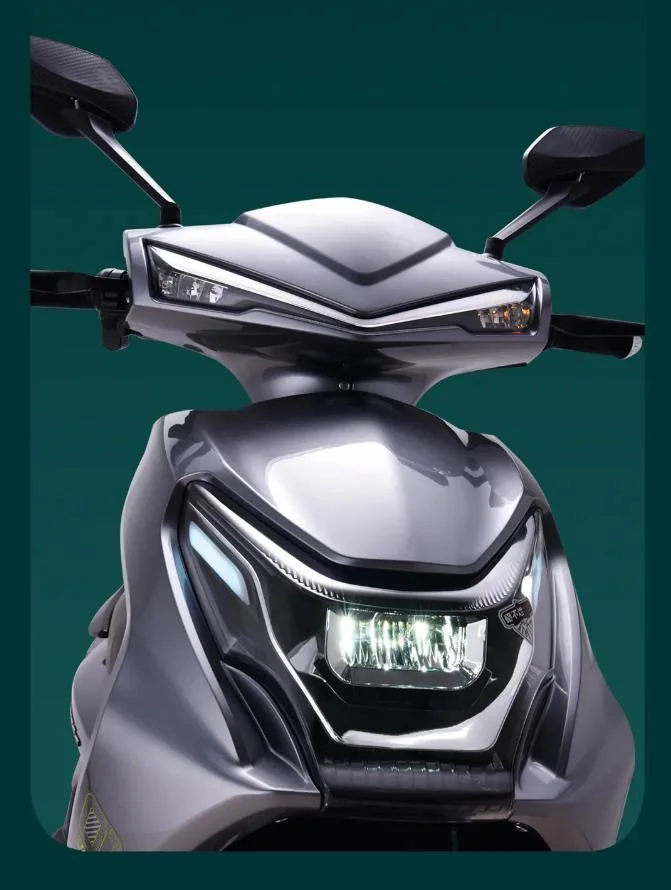 Saige High Speed E Motorcycle with Lithium Battery for American Market