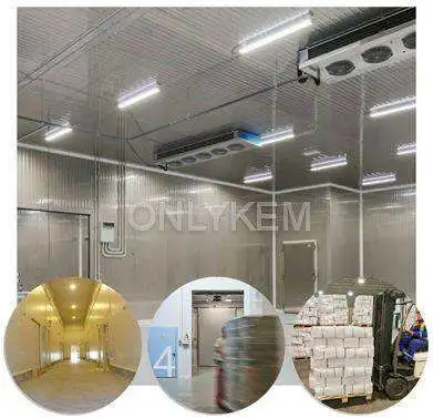 Industrial Logistics Fish Vegetable Fruit Seafood Onion Freezer Cold Room Storage