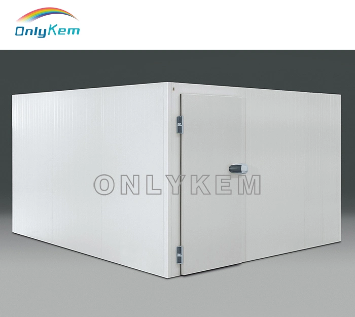 Blast Freezer Room Deep Freezer Cold Storage