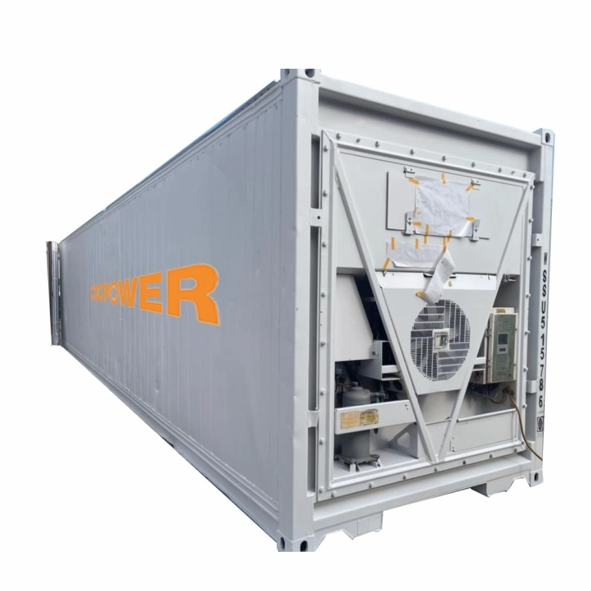 One-Stop Solution Freezer Container Compressor Storage for Food Fish Meat