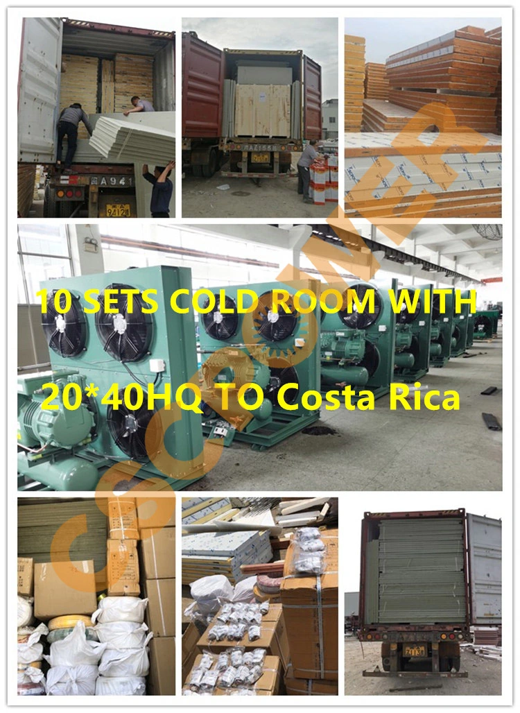 Container Cold Room Mini Cold Room Fruit Vegetable Cold Room Meat Fish Cold Storage