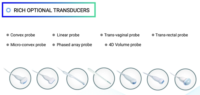 Medical Ultrasound Instruments 3D 4D 5D Color Doppler Portable Ultrasound