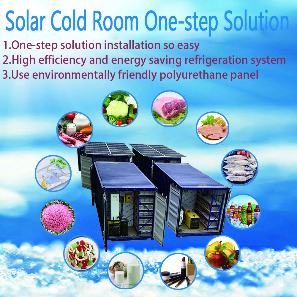 20FT and 40FT Solar Power System Container Cold Room Portable Cold Storage for Fish Meat Fruits Vegetables