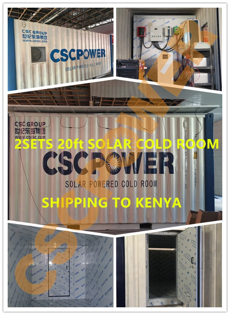 Cscpower Cold Room Storage with 40FT Reefer Container and Custom Dimensions