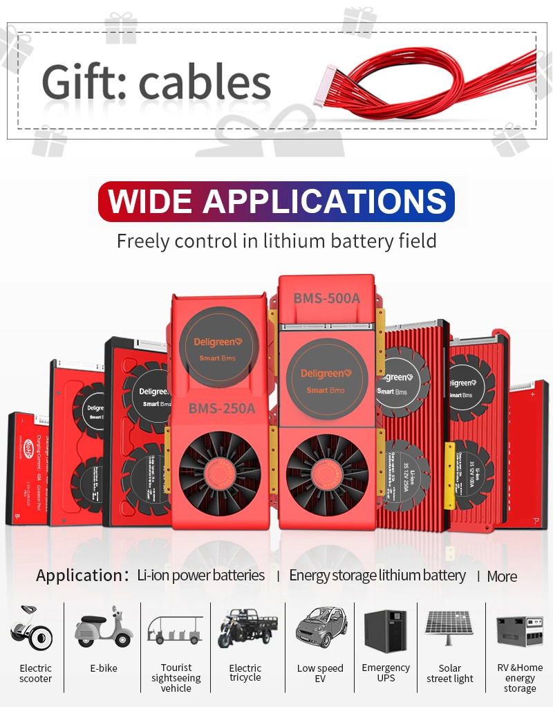 Deligreencs Smart BMS 3.7V Rated 13s 48V 150A 200A 250A Over Charge Discharge Protection for Low-Speed Four-Wheel Vehicle