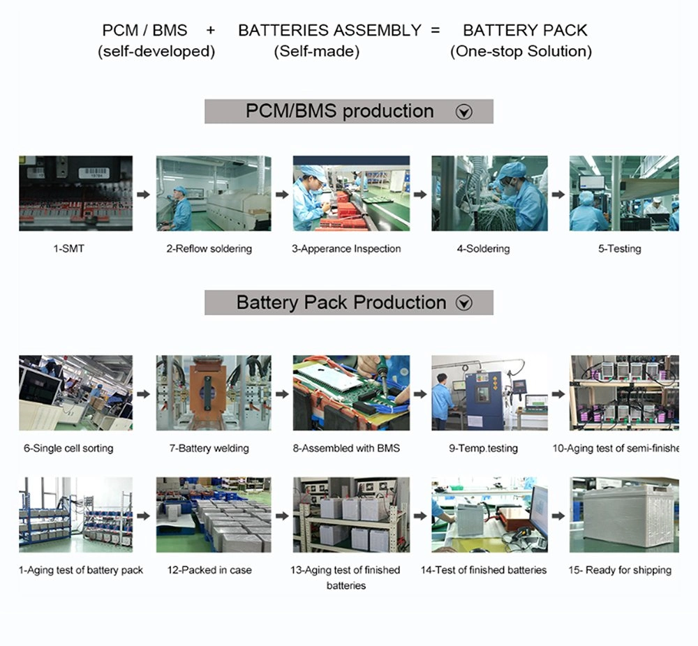 RV Marine 4s 12.8V 100A 150A 200A 300A Lithium Ion LiFePO4 Battery PCM 8s 12V 24V BMS with Balance and Communication