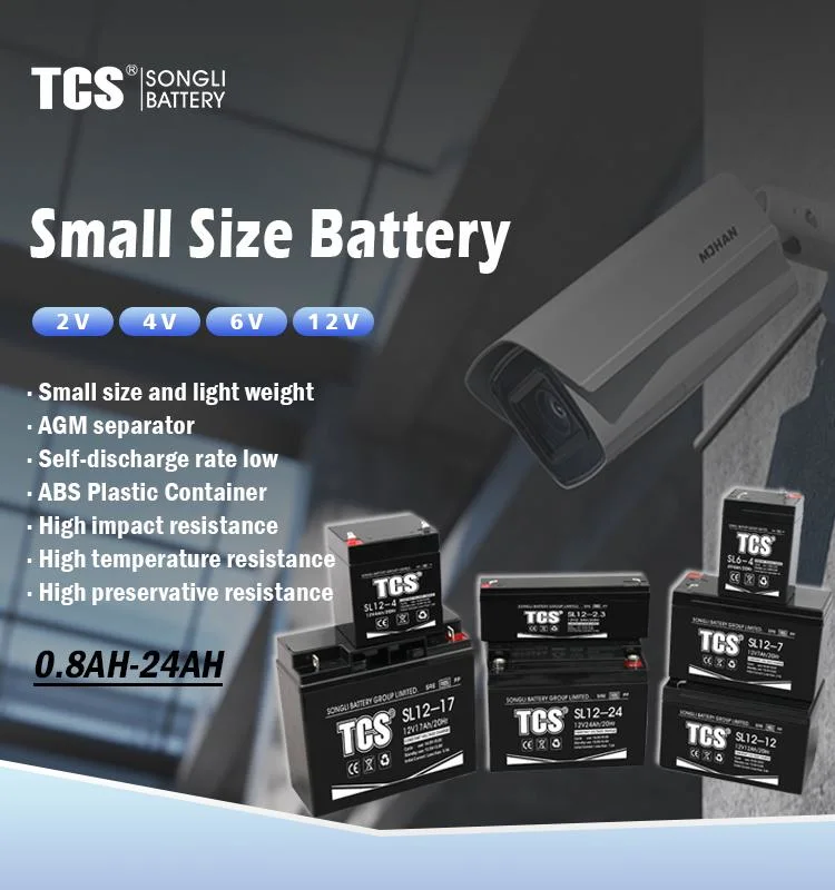 Tcs Chinese Manufacturer Energy Storage AGM Valve Regulated Sealed Lead Acid Dry UPS Battery 12V 7ah Price for Electronic Scales