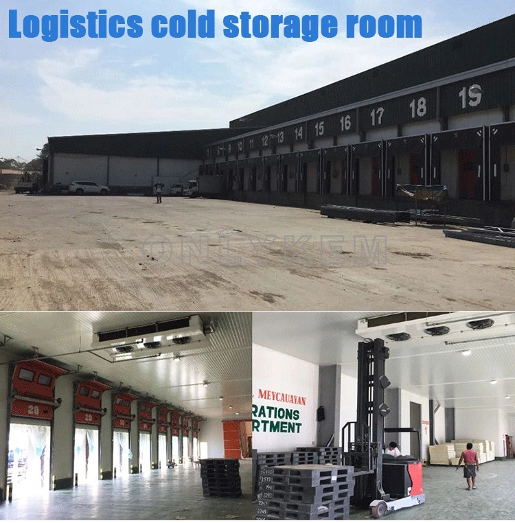 Industrial Logistics Fish Vegetable Fruit Seafood Onion Freezer Cold Room Storage