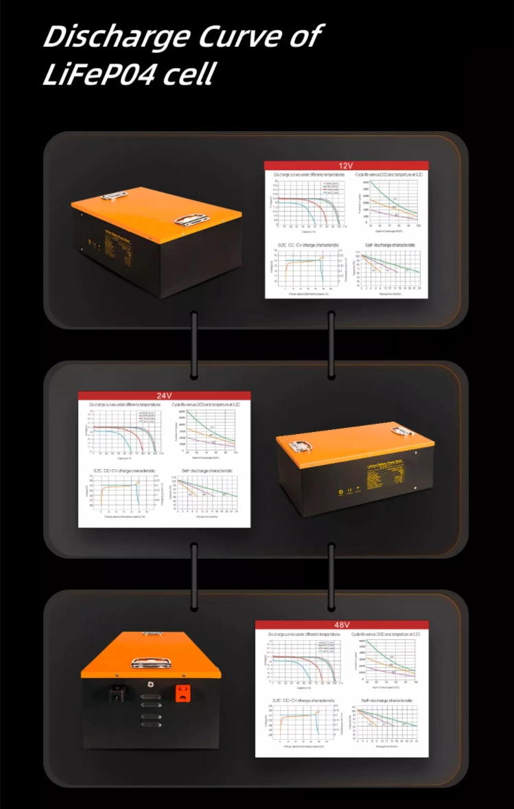 12V 24V 48V Lithium Ion Battery 100A 200A Home LiFePO4 Lithium Ion PV Battery Solar Storage Li-ion Batteries Factory Price