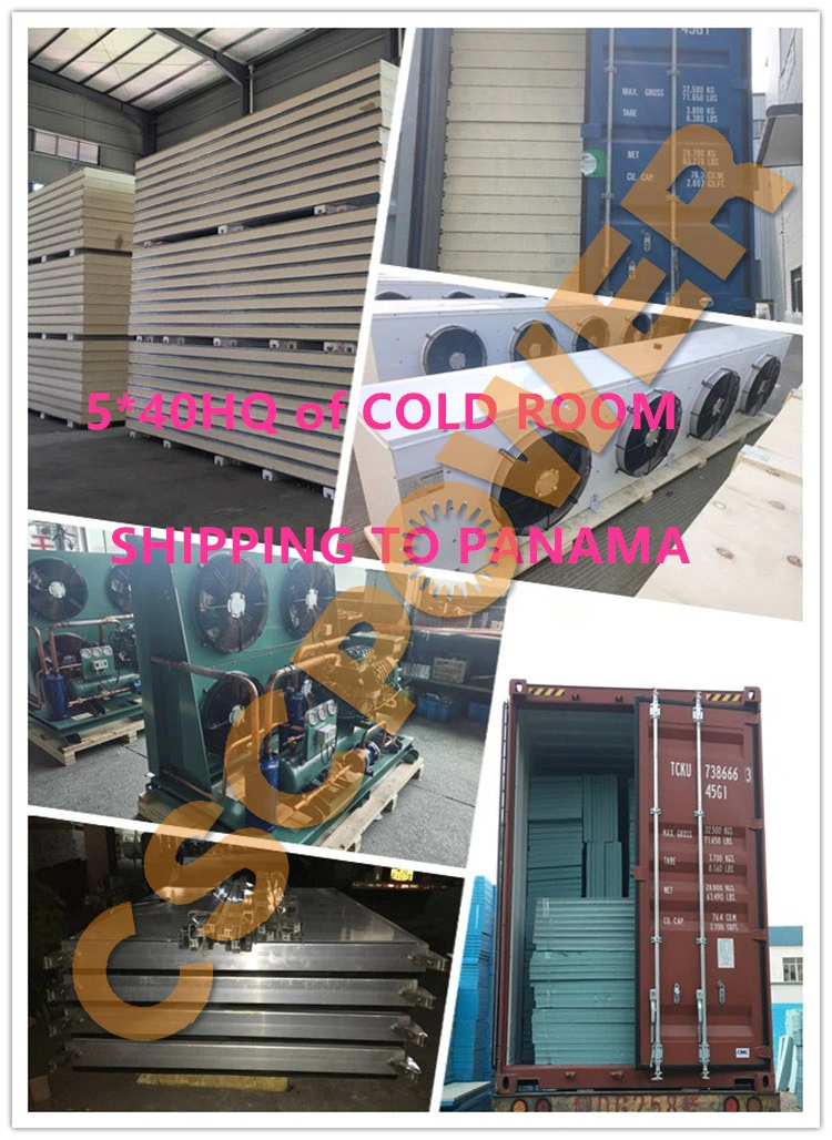 Container Cold Room Mini Cold Room Fruit Vegetable Cold Room Meat Fish Cold Storage