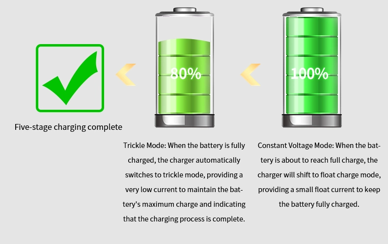 Special Charger for Lithium-Ion Batteries