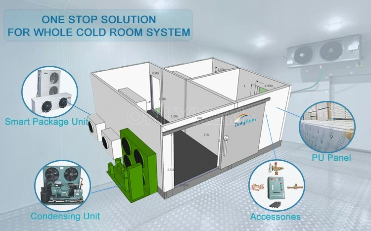 Various Hotel Cold Room and Refrigeration Equipment Cold Storage Walk in Cooler