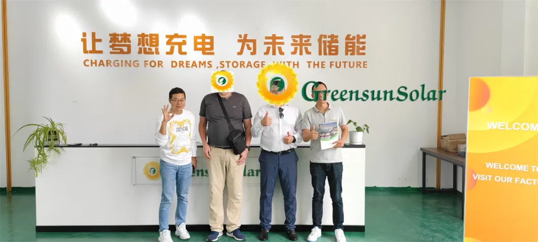 Greensun 100kwh 40kwh 50kwh 200kwh~2mwh LiFePO4 Lithium Bess Energy Storage Battery