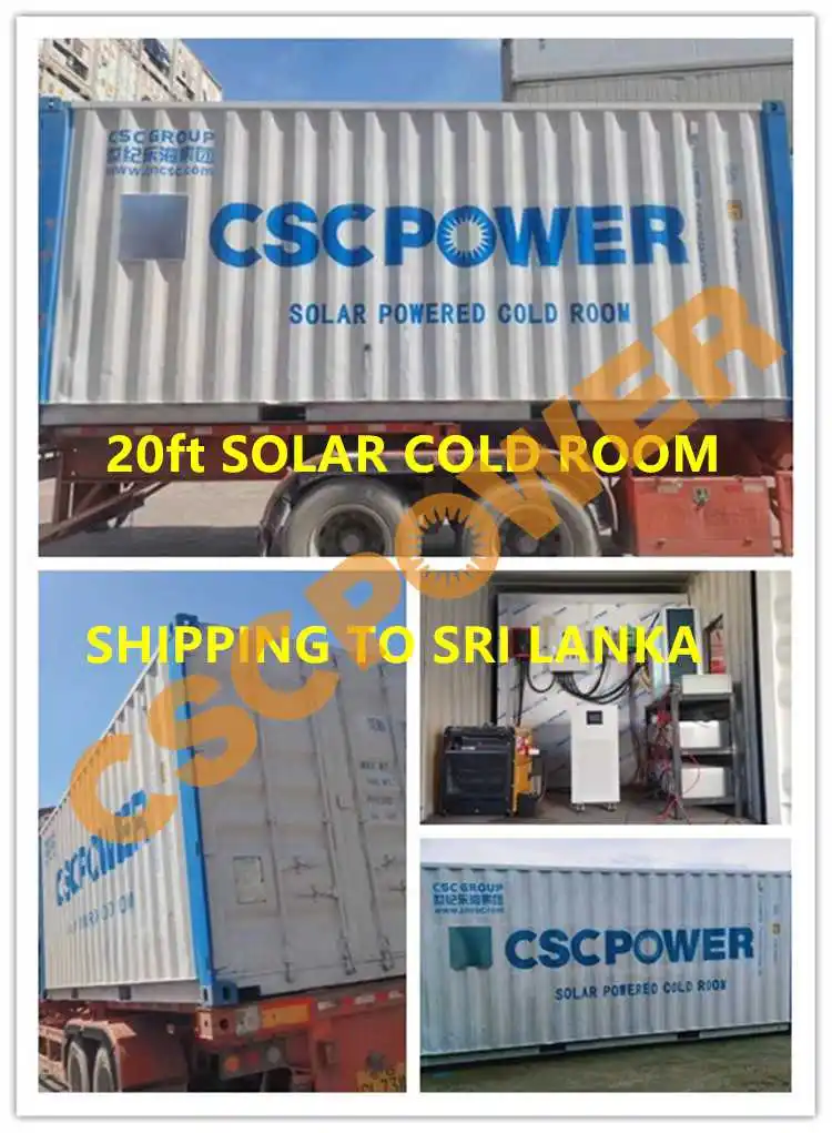 Cscpower Cold Room Storage Solutions with 40FT Reefer Container Hot Sale