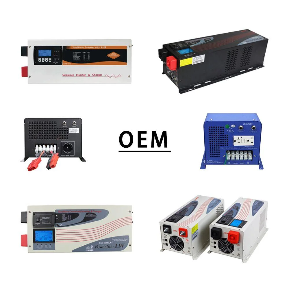 for Lead-Acid and Lithium Battery 24VDC to 110VAC 3kw off-Grid Hybrid Solar Inverter