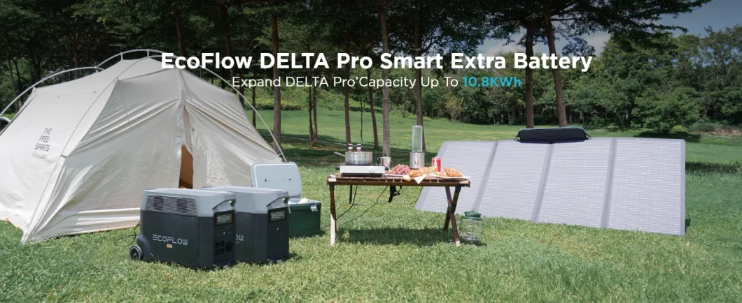 Ecoflow Delta PRO Portable Home Battery, Expandable Portable Power Station, 3.6kwh-25kwh