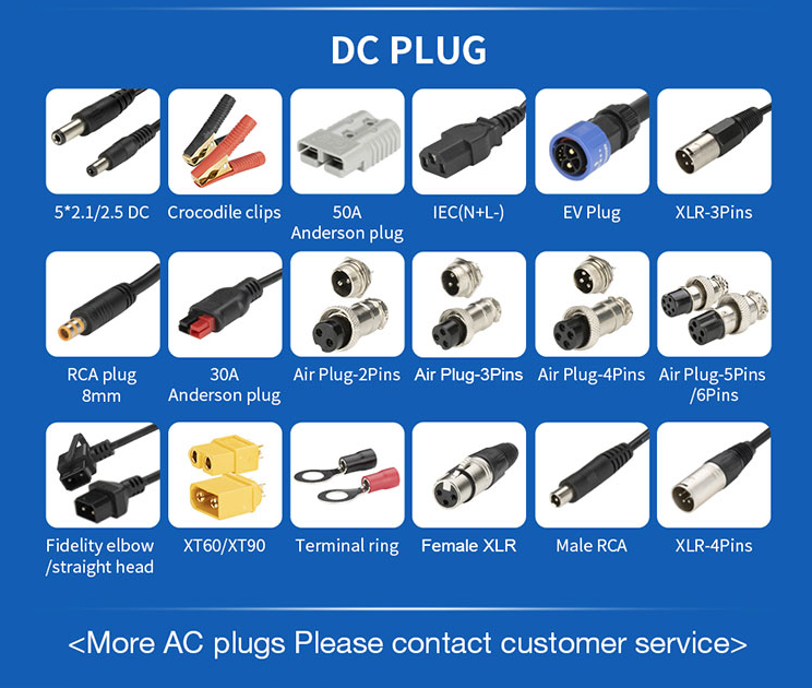 Overcurrent Protection/48V2a 48V12ah/ Charger Lithium Fast Pulse Repair Car Battery Charging