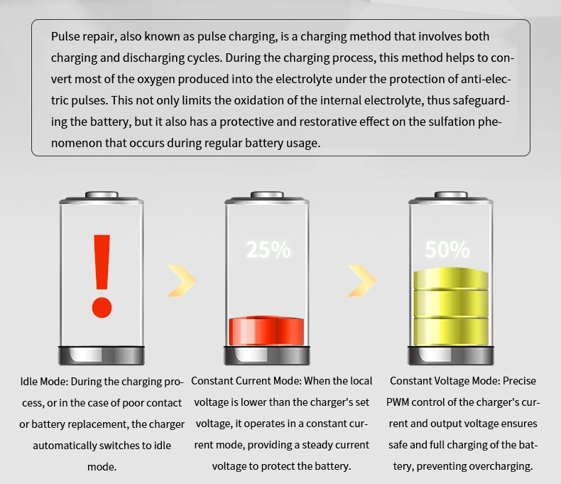 Special Charger for Lithium-Ion Batteries