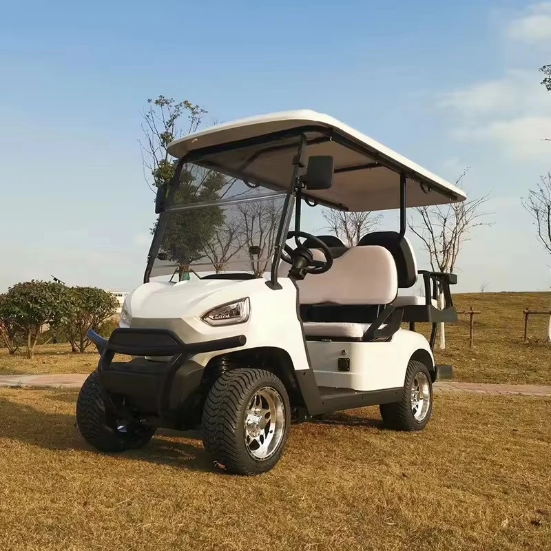 Custom-Built 2+2 Seats Golf Cart From China Supplier