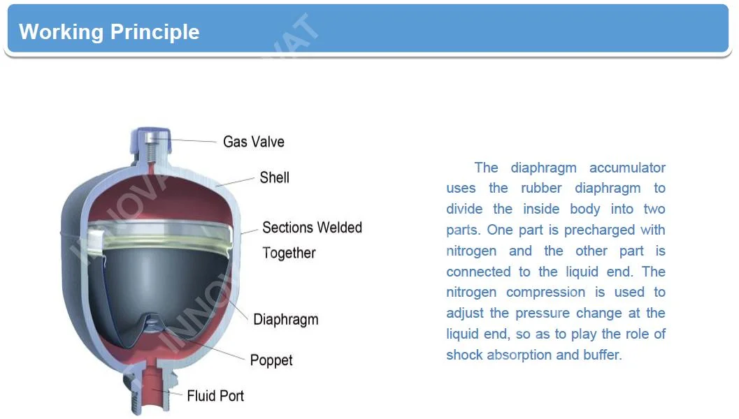 Carbon/Stainless Steel Hydraulic Pressure Diaphragm Accumulator