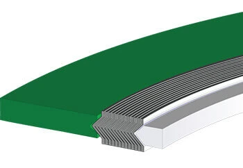 Spiral Wound Graphite Gasket for Renewable Energy