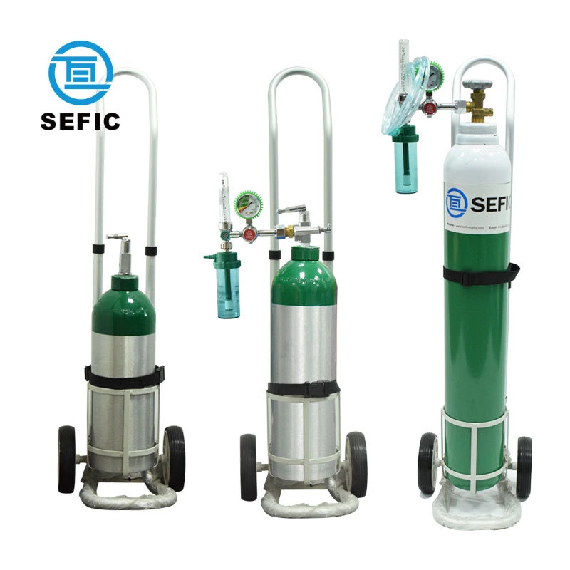 Sefic Storage Pressure Vessel Carton Packing CE/Tped/DOT Shanghai, China (Mainland) Accumulator Regulator