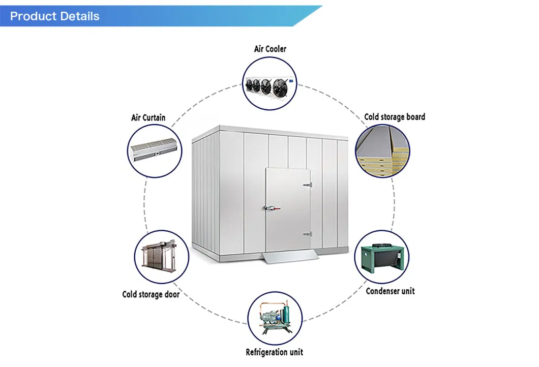 Runte 20% Electricity Saving Seafood Shrimp Cold Storage