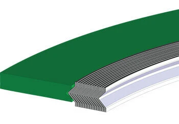 Spiral Wound Graphite Gasket for Renewable Energy