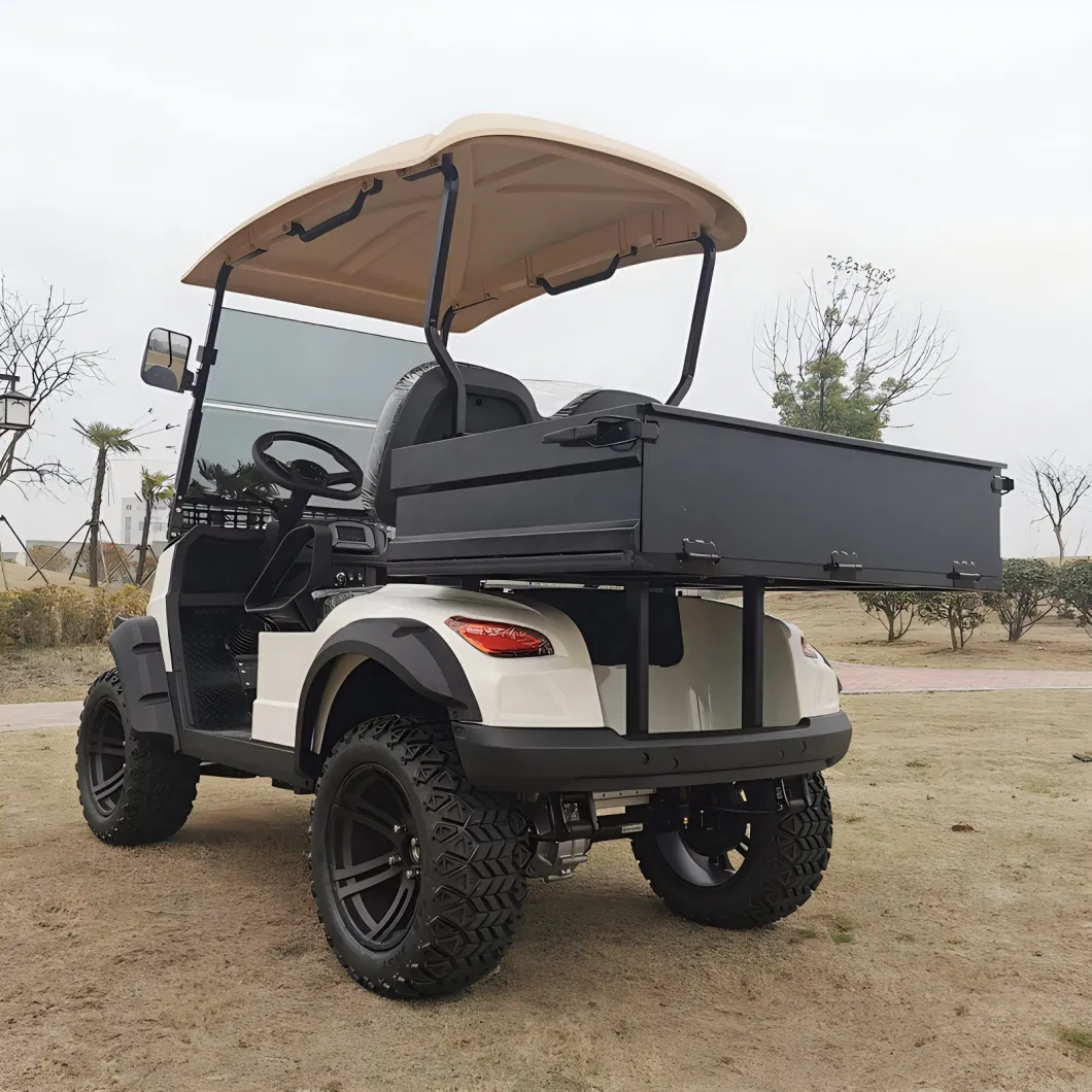 Custom Design Electric Golf Cart Factory