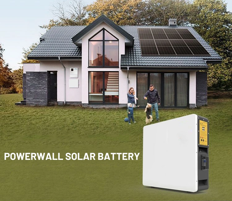 BMS Powerwall Li-ion Battery 48V 100ah Home Energy Storage