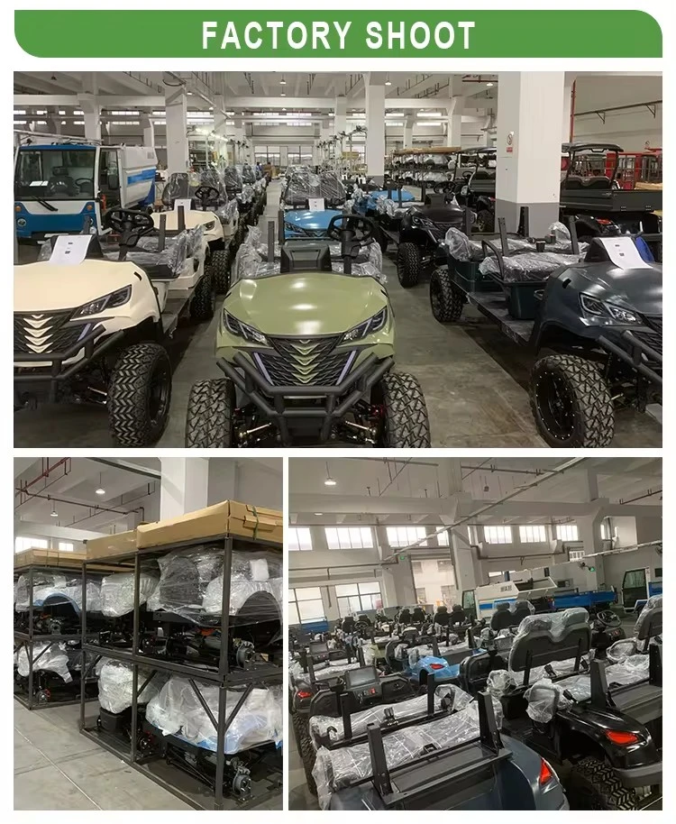 Electric Golf Carts Factory Model LG2020kh