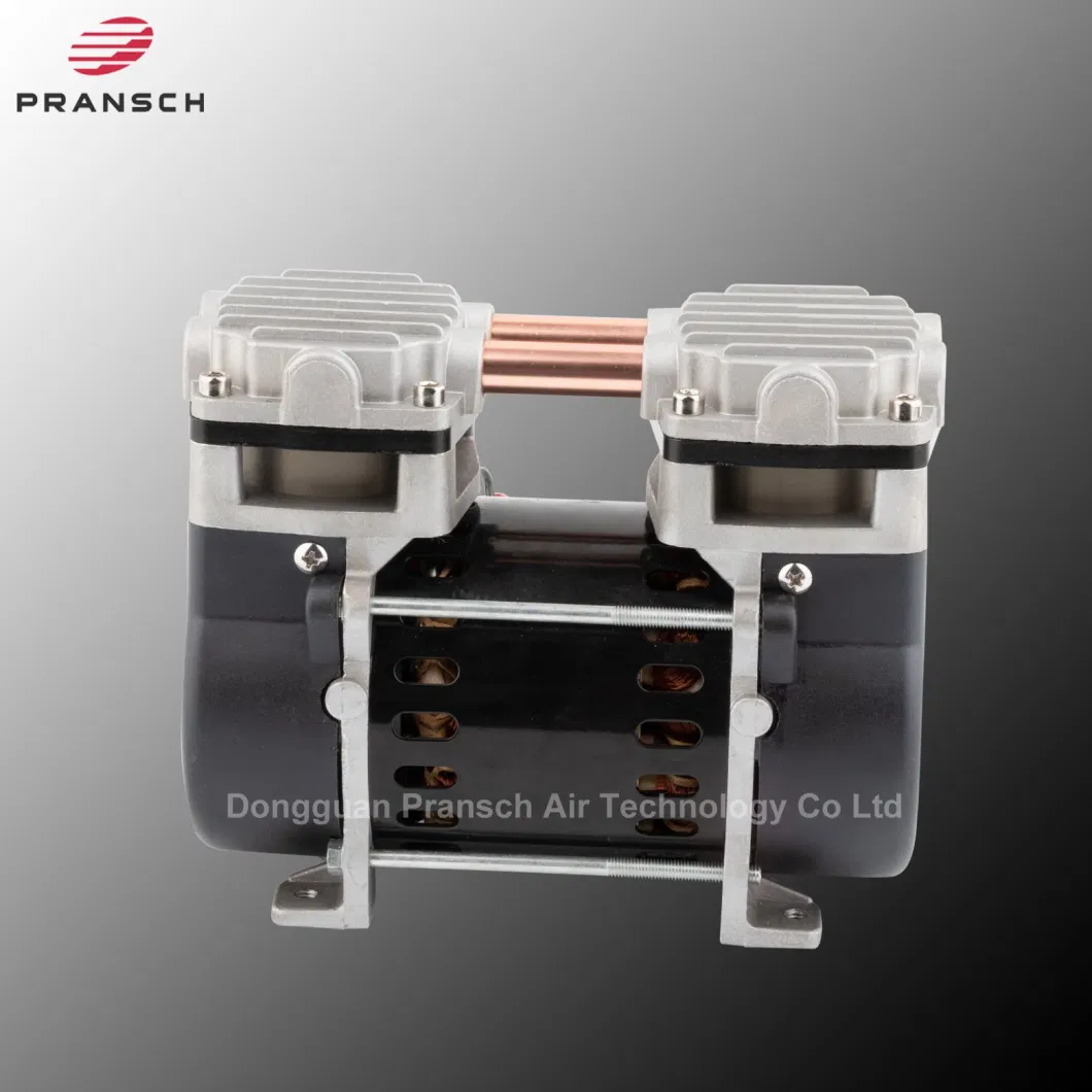 220V Small Oilless Air Compressor for Dermatology Equipment