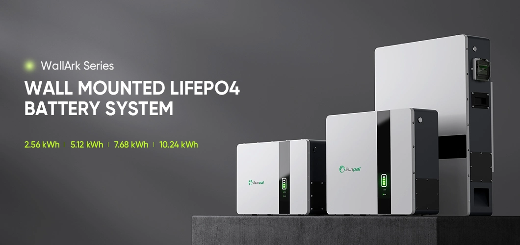 16s 100A LiFePO4 Battery Powerwall Battery 200A 10kwh Lithium Ion Batteries Built-in BMS