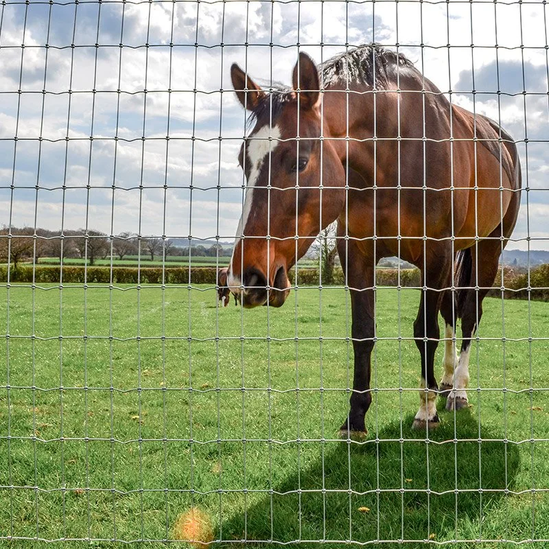 Leadwalking Hot DIP Galvanized Farm Fence Livestock Corral Horse Fence Panel