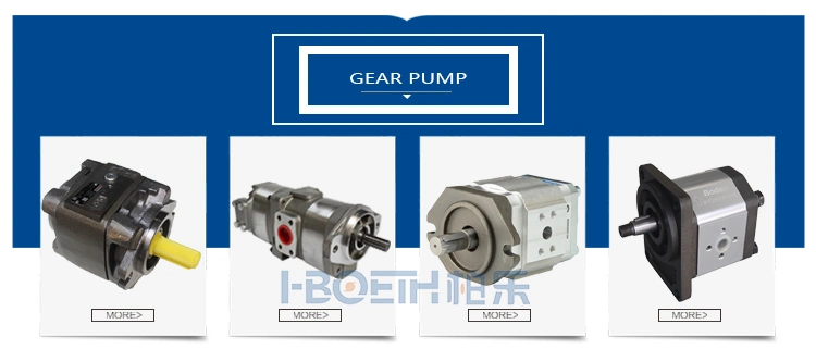 Hboeth Standard Diaphragm Accumulators Bladder Piston Accumulator High Pressure Hxq Gxq Nxq Sb210 European Standard American Standard