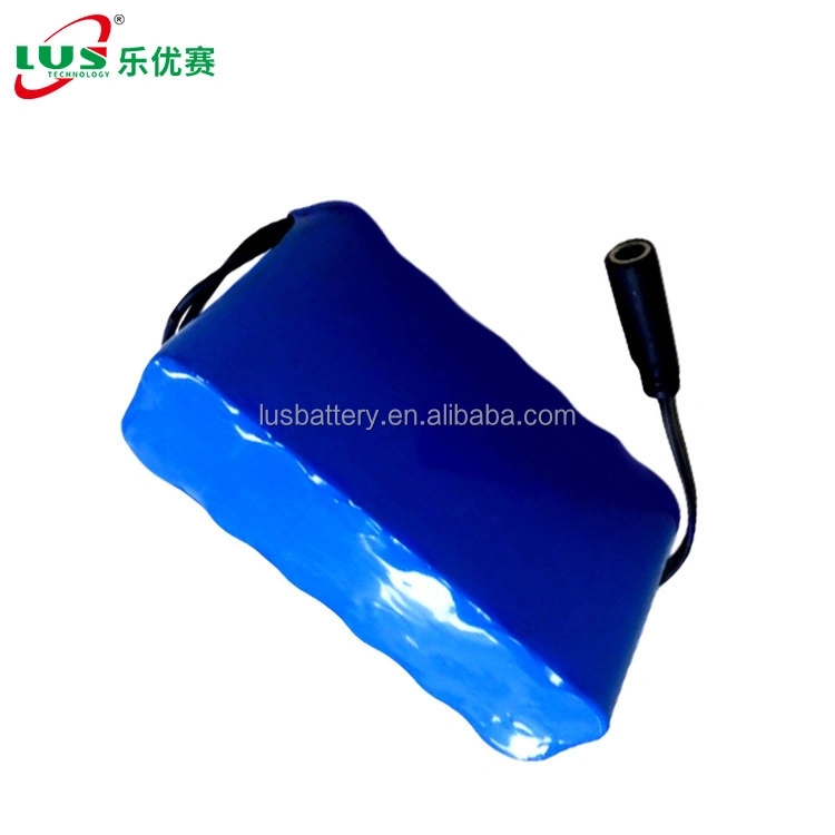 Lithium Ion Battery Icr18650 9600mAh Li-ion Rechargeable Battery Pack 12V Lithium Battery OEM