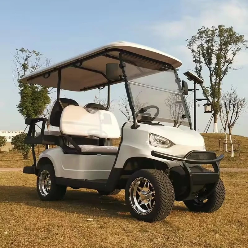 Custom-Built 2+2 Seats Golf Cart From China Supplier