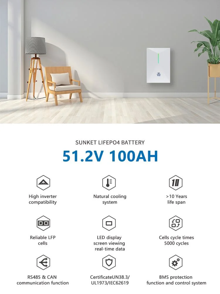 Energy-Efficient 51.2V100ah LiFePO4 Battery Pack Home Energy Storage for Power Generation System