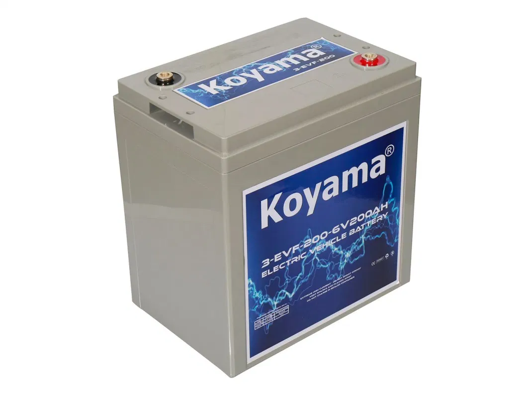 High Quality 6V Deep Cycle Floor Machines Battery / Accumulators 210ah