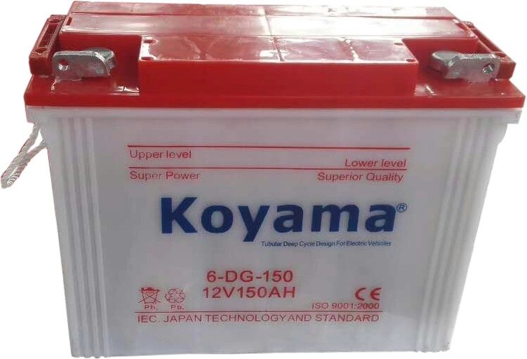 High Quality 6V Deep Cycle Floor Machines Battery / Accumulators 210ah