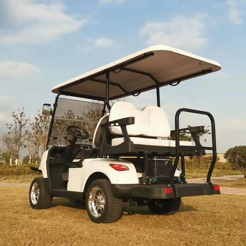 Custom-Built 2+2 Seats Golf Cart From China Supplier